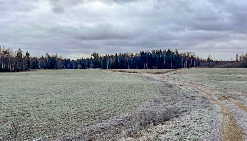 Aizsargājamo ainavu apvidus Koknese-Odziena. Foto Sintija Balode