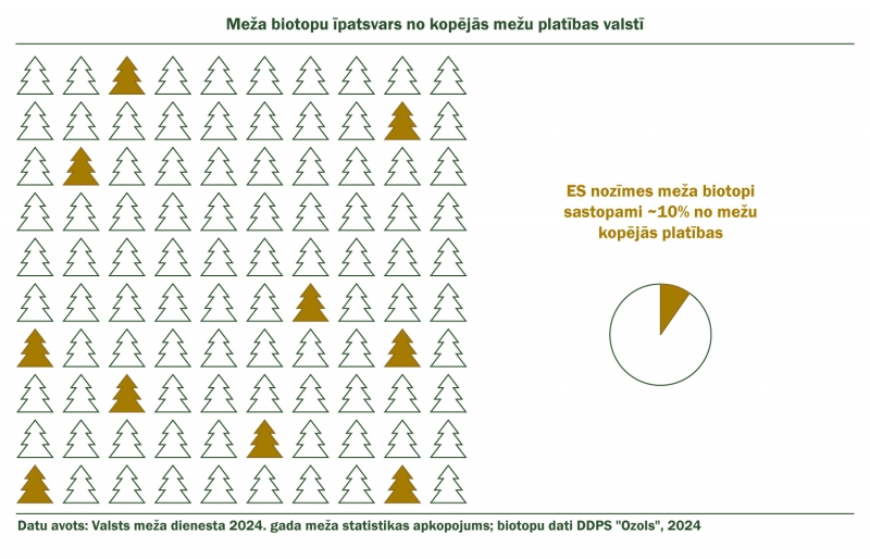 ES nozīmes meža biotopi Latvijas mežos (2024)