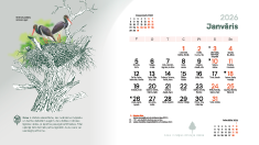 Ekrāntapete 2026. janvāris. Lielās ligzdas kokā. Sīkbilde