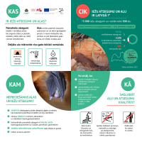 Dabas skaitīšanas rezultāti - alas un atsegumi