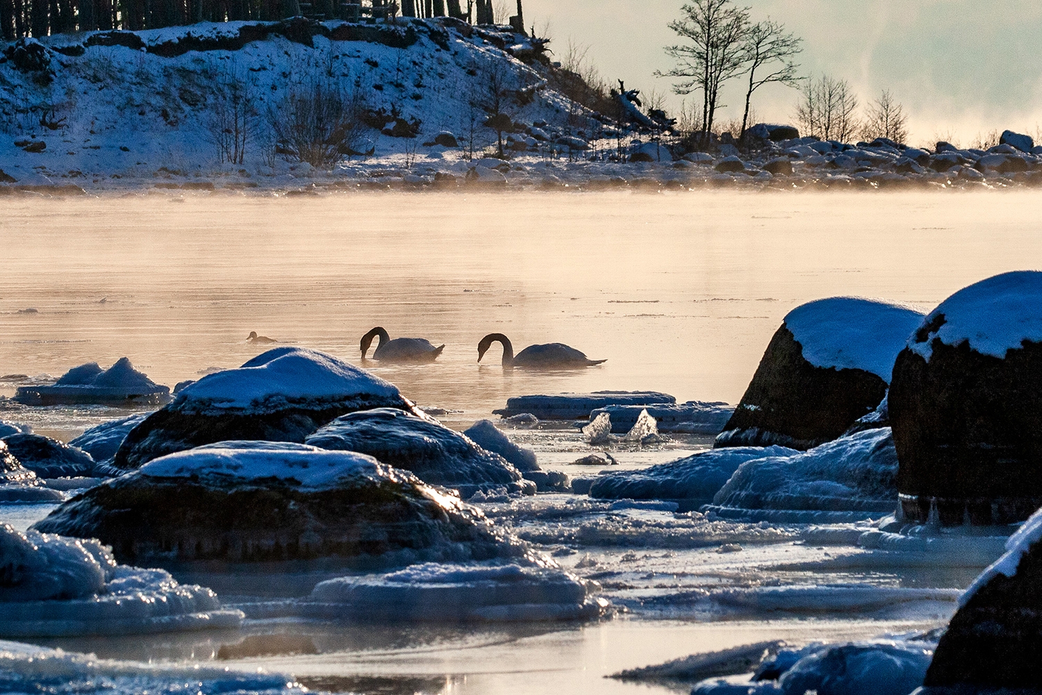 Jūras piekraste. Foto: Andris Soms